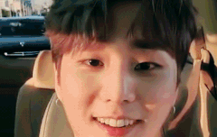 3일 연속 출퇴근 라이브하는 효자 고양이