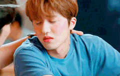 한다다보는 타지잇냐