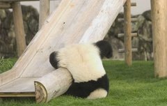 판 댓글 관리법? 적고가셈