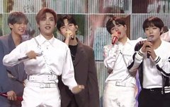 완나블 이걸로 1년버티기 쌉가능