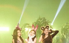 나 타팬인데 혹시 이 사진