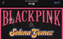 와 블랙핑크 월클이다 진심 쌉소름