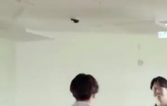 ㄱㅁ 재롱쟁이 전구