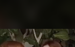 맠동 떡밥 복습중인데