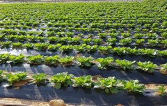 손이 왜 거기서나와?