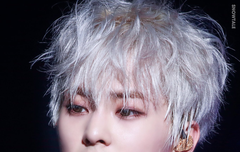 이제 99일만 기다리면 되는거지?