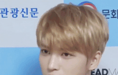 실물 이 느낌일듯