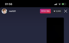 오늘 나무 라방 사진 하나로 요약