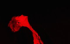 드디어 불금이다