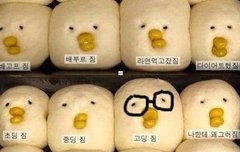 찌미니 (๑•̀ ਊ•́)