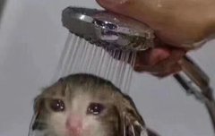 잉잉 꼬께님 아는 사람ㅠ