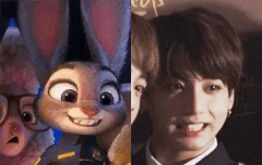 전정국 토끼 말티즈 찬반 해봐