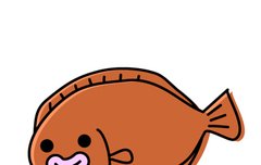 가자미들아 어때