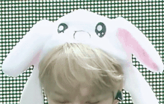 서방님 토끼모자 짤 더 부탁드립니다