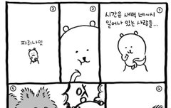 이런거 올리는거어때