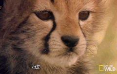 다들 늦은 굿모닝