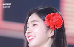 팬톡 살리기 17일차 : 다시 아이린