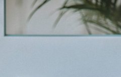 갑자기 진짜 궁금한게 생겼는데