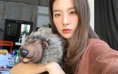 팬톡 살리기 19일차 : 슬스타그램