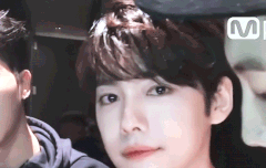 덥덥이 조아? 콘서트가 젛아?