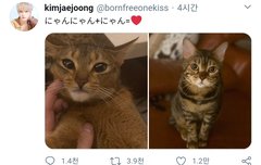 [트위터] 서방 팔에 상처났어ㅠ