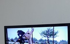 지금 할머니집인데 티비에 효진이나옴!