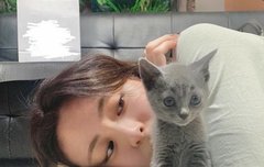 통통과 뚱뚱 기준이 다들 어떻게 돼?