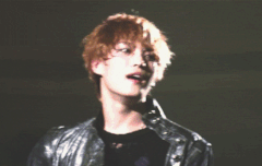 ㅅㄷ 예전에 까마귀랑 대화하던 영상알아??