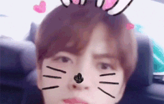 벽짤 사이에 토끼