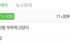 부뚜막 고양이