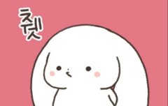 뭬야 오늘 믐이 바쁘냥