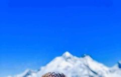 이거 고화질 짤 줄 사람 ㅠㅠㅠㅠㅠㅠㅠ