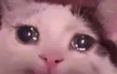 귝깅이 자나보네