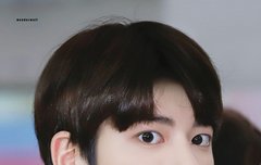 ❣ 모아톡은 짤 안줘용 ❣