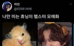 나만 미는 후닝이 햄슷허 모에화