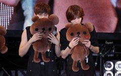 곰돌이보다 못한삶