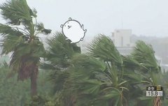 시간아 빨리 가거라