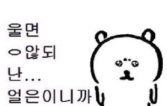 이젠 밤에만 오는거여?