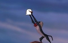 담고미는 고소공포증이 없나봐..