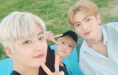 라이트 제목답게 활동도 라이트하게 끝났네ㅜ