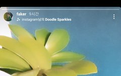 페스타스토리 업뎃