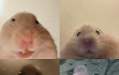 뒷북)이번 다ㄹ방 너무 불건전한거 아님??