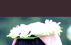 차니 이짤 있는 앨리스ㅠㅠㅠ