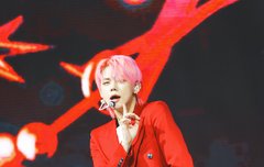 뮤톡라짹 하드털이 포토