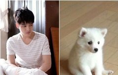 ㅅㄷ 아~~이거 너무 귀엽지 않아???