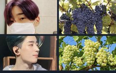 아니ㅋㅋㅋ찰떡이네