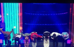 사랑하기때문에 막곡으로 최고의 선곡이어따ㅠㅠ