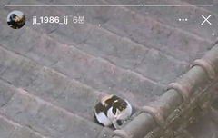 [인스타] 스토리 업뎃됐당