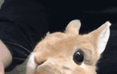 수빈이 말도안됨;;ㅋㅋㅋ ㄲ