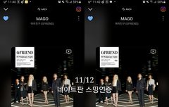 왜 이번 어그로들은